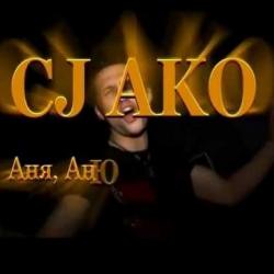CJ AKO