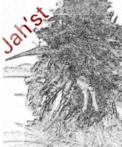 Jah'st