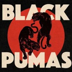 Black Pumas