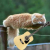 yuriy_b