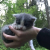 user_226824